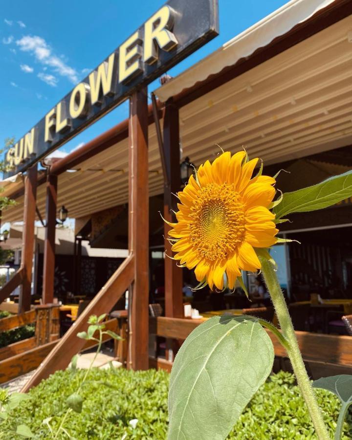 Sun Flower Apart Hotel Сіде Екстер'єр фото